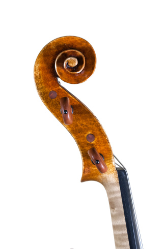 Filippo Fasser シマムラストリングス秋葉原　SHIMAMURA STRINGS akihabara