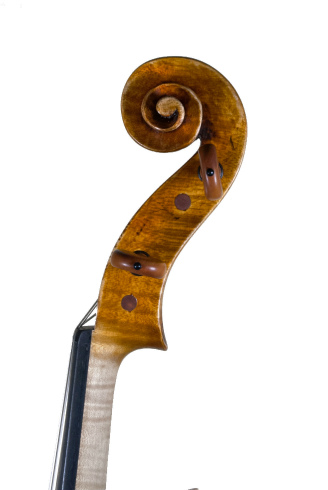 Filippo Fasser シマムラストリングス秋葉原　SHIMAMURA STRINGS akihabara