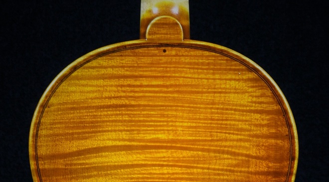 Riccardo Bergonziシマムラストリングス秋葉原　SHIMAMURA STRINGS akihabara