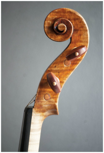 Filippo Fasserシマムラストリングス秋葉原　SHIMAMURA STRINGS akihabara