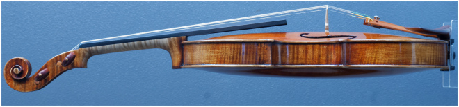 Filippo Fasserシマムラストリングス秋葉原　SHIMAMURA STRINGS akihabara