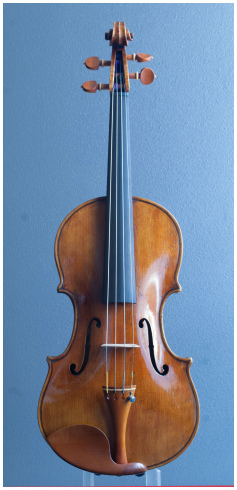 Filippo Fasser シマムラストリングス秋葉原　SHIMAMURA STRINGS akihabara