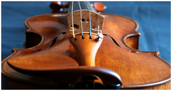 Filippo Fasserシマムラストリングス秋葉原　SHIMAMURA STRINGS akihabara
