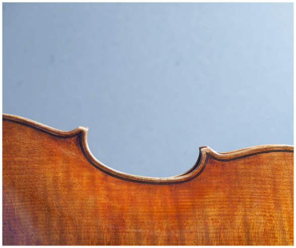 Filippo Fasserシマムラストリングス秋葉原　SHIMAMURA STRINGS akihabara