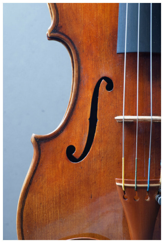 Filippo Fasserシマムラストリングス秋葉原　SHIMAMURA STRINGS akihabara