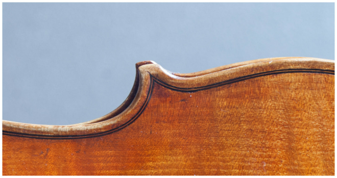 Filippo Fasserシマムラストリングス秋葉原　SHIMAMURA STRINGS akihabara