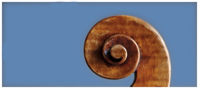 Filippo Fasserシマムラストリングス秋葉原　SHIMAMURA STRINGS akihabara