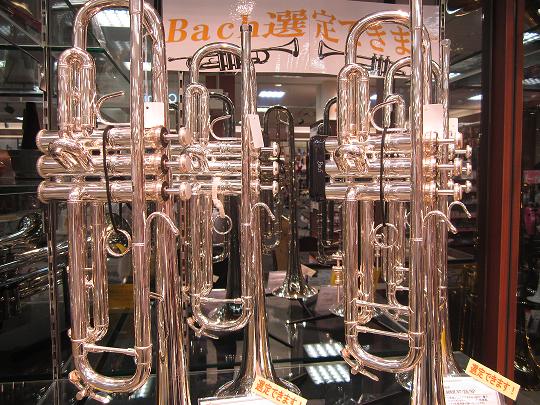 Bach バック トランペット 宮城県 仙台市 泉区