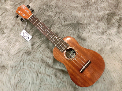 仙台 楽器 ウクレレ 初心者