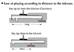クラビノーバ　鍵盤　長さ