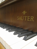 SAUTER　ザウター　185DELTA