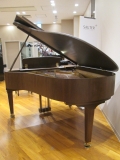 SAUTER　ザウター　185DELTA