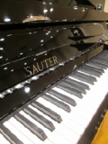 SAUTER　ザウター　116Vision