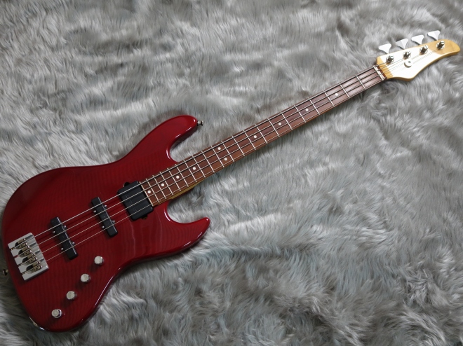 P4BASS