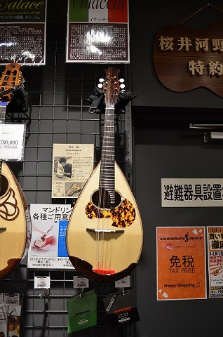 川口一樹 カワグチマンドリン/R