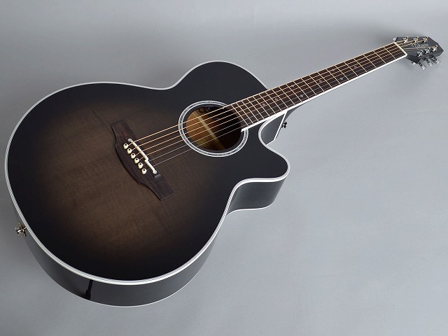 Takamine PTU121Cトップ画像