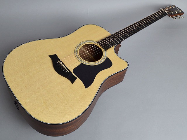 Taylor 310ce ES2トップ画像