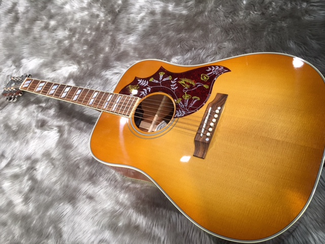 アコギ】 周りと差を付けたい人に！王道モデルもありますよ！Gibson 8