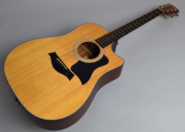 Taylor 310ceトップ画像