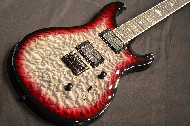 PRS SE Mark Holcomb シグネチャー　ギター