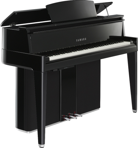 YAMAHA N2