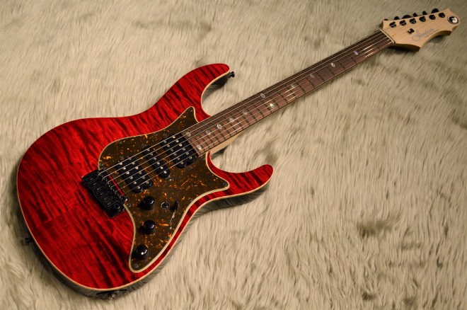 Freedom Custom Guitar Research CGR Hydra24F 2Point 赤鬼 島村 梅田