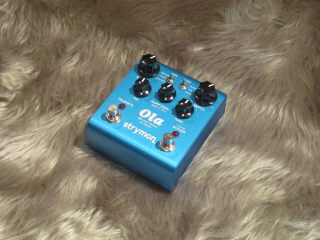 strymon olachorus