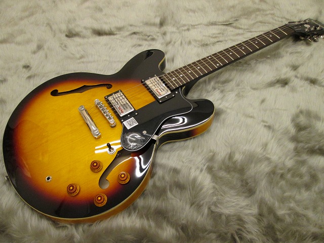 島村楽器イオンモール天童店 エレキギター エピフォン Epiphone Dot