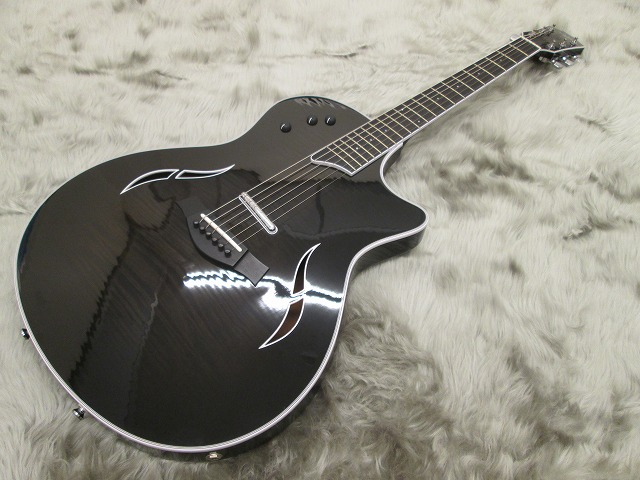 島村楽器イオンモール天童店　ギター　Taylor T5-S1 TPB 雅-MIYAVI-