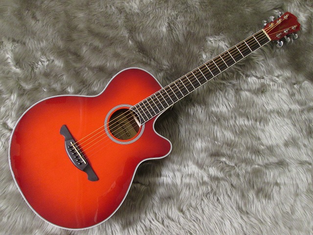島村楽器　天童　James　ジェームス　JE450