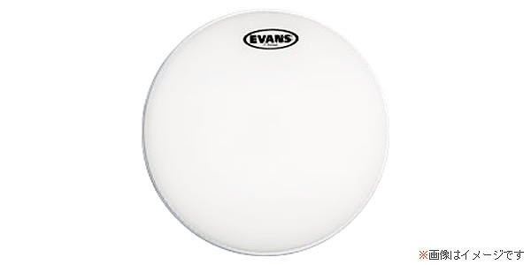 EVANS
