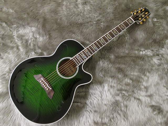 島村楽器　天童　Takamine　タカミネ　DMP181AC