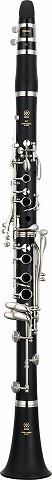 YCL255