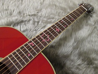 島村楽器　天童　Takamine　タカミネ　SO-70　大原櫻子　シグネイチャー