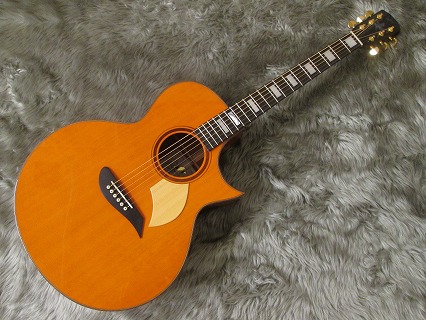 島村楽器　天童　モーリス　Morris　堀内孝雄