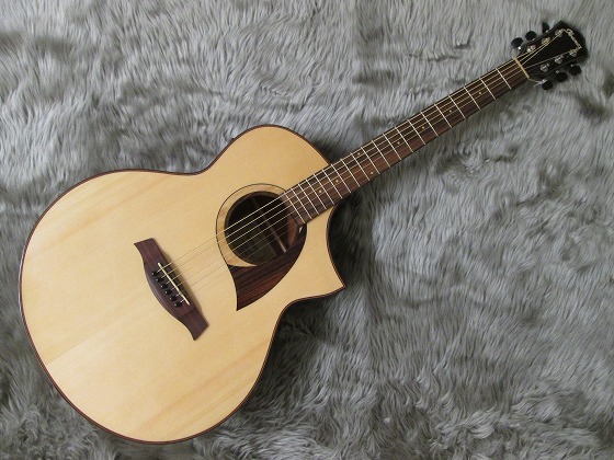 島村楽器　天童　Ibanez　アイバニーズ　AEW22CD