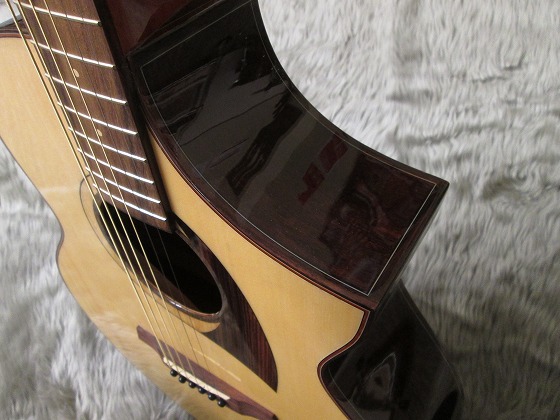 島村楽器　天童　Ibanez　アイバニーズ　AEW22CD