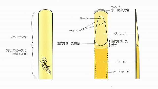 特集ページ クラリネット編 リードの違い徹底分析 くずはモール店 店舗情報 島村楽器