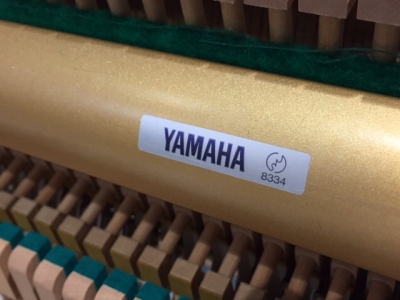 ヤマハ