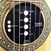 MOISS GUITAR CARE