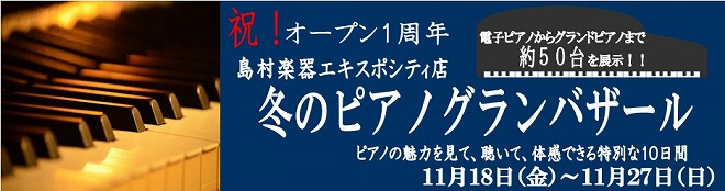 エキスポシティ店冬のピアノグランバザール