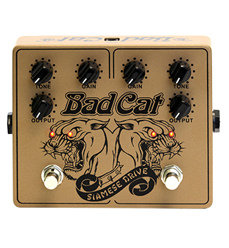 BADCAT