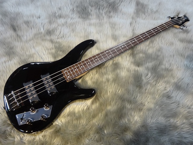 TRBX304