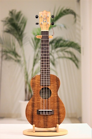 IMUA Concert Ukulele 島村楽器ららぽーと湘南平塚店