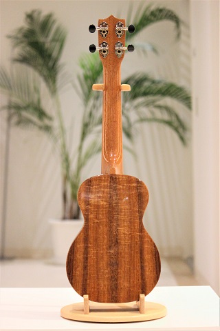 IMUA Concert Ukulele 島村楽器ららぽーと湘南平塚店