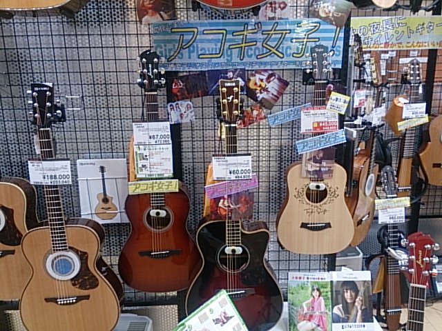 アコースティックギター 応援します アコギ女子 島村楽器 仙台長町モール店