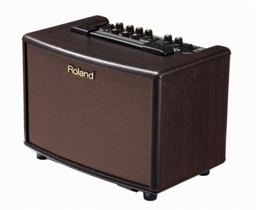 Roland　AC33