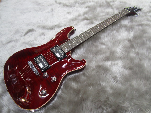 SCHECTER RJ-1-24-TOM/R シェクター