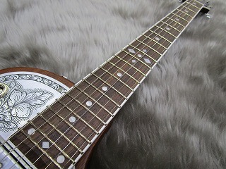 ゼマイティス　ZEMAITIS A24MF