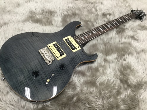 PRS SE Custom24